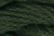 Caron Watercolours 083 - Pine Forest