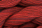 Caron Wildflowers 045 - Flame