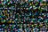 Treasure Petite: pb16 - Dark Multi