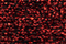 Treasure Petite: pb19 - Dark Red