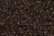 Treasure Petite: pb49 - Brown