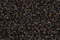 Treasure Petite: pb51 - Dark Chocolate