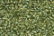 Treasure Petite: pb57 - Avocado