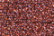 Treasure Petite: pb61 - Dark Peony