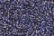 Treasure Petite: pb66 - Amethyst