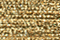 Treasure Petite: ph01 - Gold (Hi Gloss)