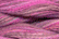 Caron Watercolours 190 - Fraises du Bois