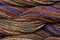 Caron Wildflowers 016 - Bark