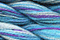 Caron Wildflowers 019 - Tropic Seas