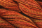 Caron Wildflowers 052 - Marigold