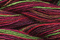 Caron Wildflowers 056 - Potpourri