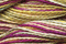 Caron Wildflowers 071 - Ambrosia