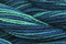 Caron Wildflowers 089 - Caribbean