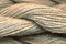 Caron Wildflowers 122 - Maple