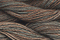 Caron Wildflowers 136 - Cedar