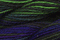 Caron Wildflowers 153 - Distant Hills