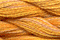 Caron Wildflowers 186 - Papaya