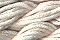 Caron Waterlilies 001 Sandstone