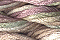 Caron Waterlilies 031 Rose Quartz