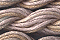 Caron Waterlilies 082 Gobi Sand