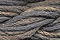 Caron Waterlilies 099 Cocoa