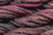 Caron Waterlilies 170 Arabian Nights