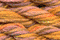 Caron Waterlilies 186 Papaya