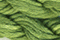 Caron Waterlilies 206 Guacamole