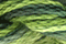 Caron Watercolours 211 - Cucumber