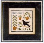 Blossoms & Blackbirds