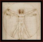 Leonardo - Homme de Vitruve