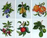 Fruits et décorations de Noël