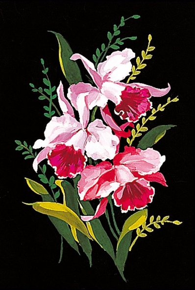 Orchidées
