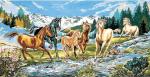 Cavalcade a l'eau vive
