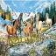 Cavalcade a l'eau vive