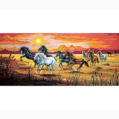 Chevaux au galop