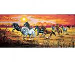 Chevaux au galop