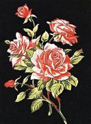 Branche de roses