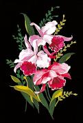 Orchidées
