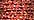3503 Red Flamenco (#4)