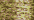 212 Golden Sand (#4)