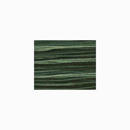 Bravo! A131 - Spruce Green
