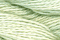 Caron Wildflowers 242 - Celery