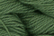 Caron Wildflowers 5002 - Solid Colours
