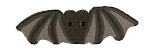 1102T - Tiny Black Bat