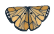 1107T - Tiny Monarch Butterfly