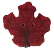 2280T - Tiny Red Maple Leaf