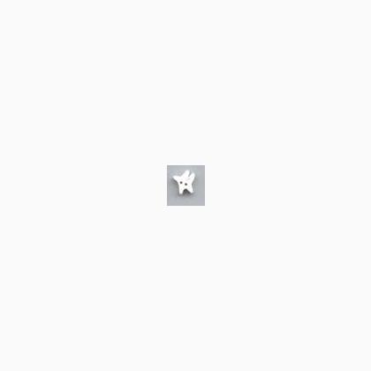 3313S - White Small Star