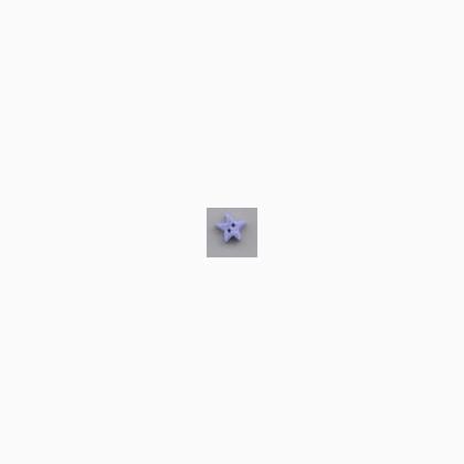 3464S - Small Periwinkle Star
