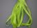 SR4-097 - Halloween Green